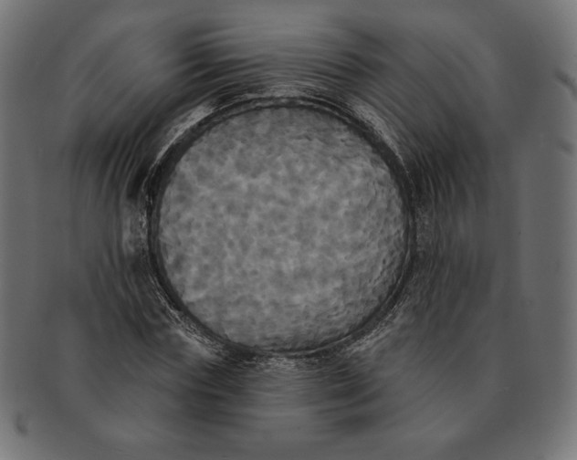 X0000091510827200709070951