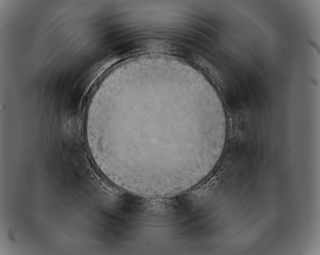 X0000091510828200709070951