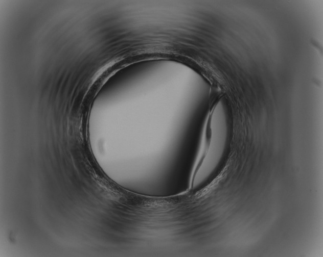 X0000091510830200709070951