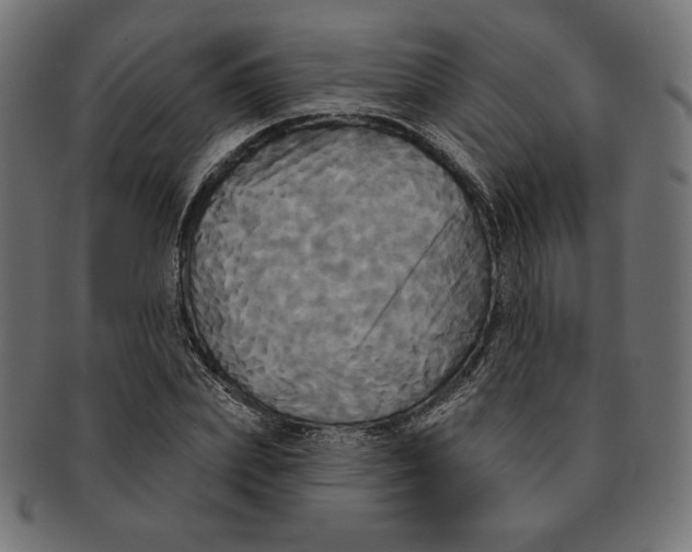 X0000091510831200709070951