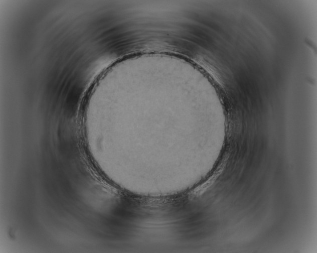 X0000091510832200709070951