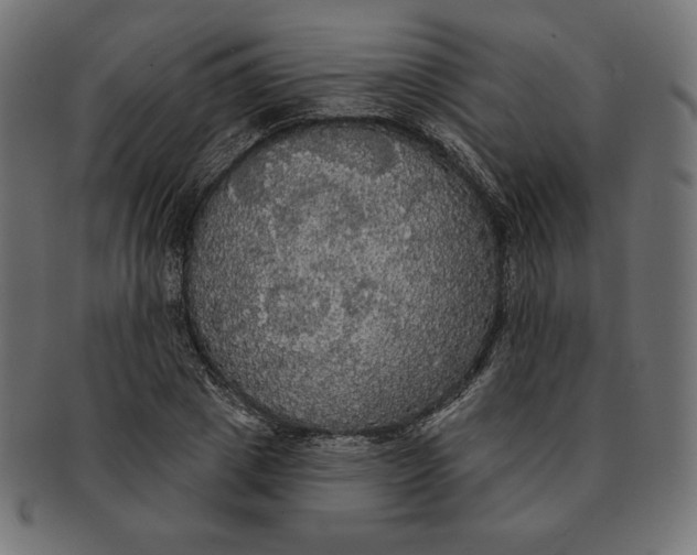 X0000091510833200709070951