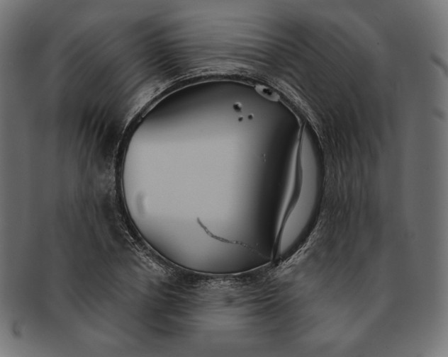 X0000091510834200709070951