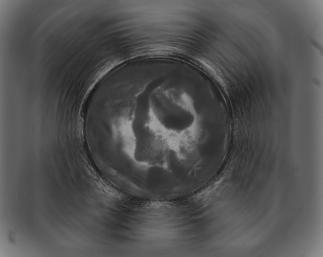 X0000091510835200709070951