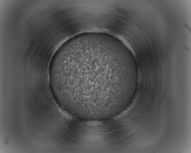 X0000091510837200709070951