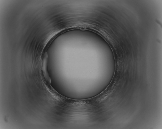 X0000091510838200709070951