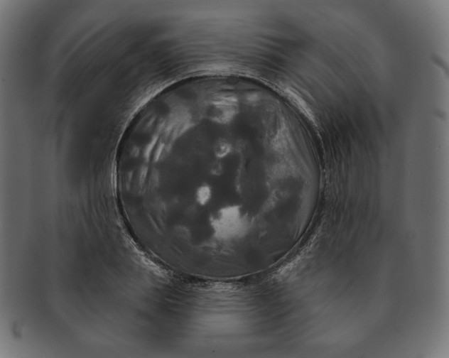 X0000091510839200709070951