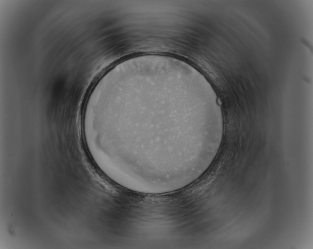 X0000091510840200709070951