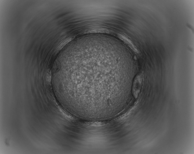 X0000091510841200709070951