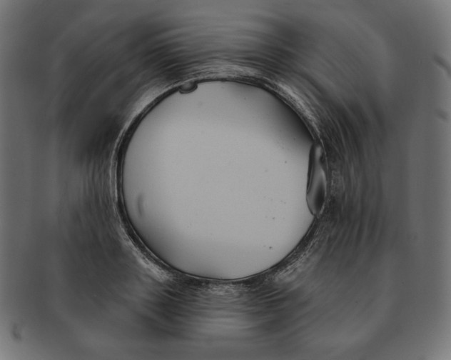 X0000091510843200709070951