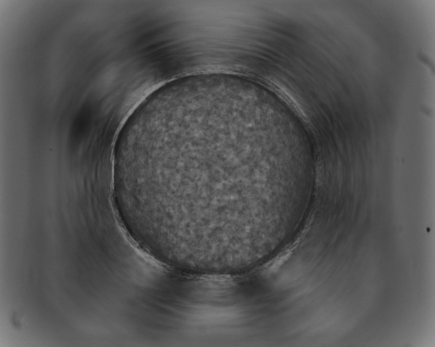 X0000091510844200709070951