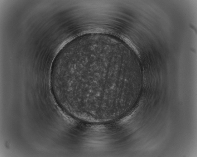 X0000091510845200709070952