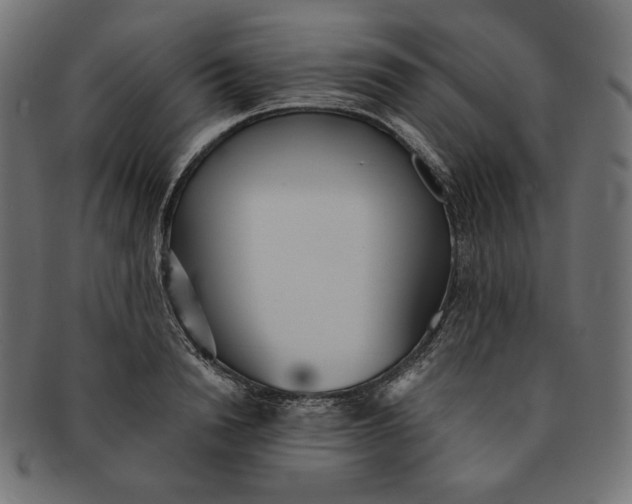 X0000091510846200709070952