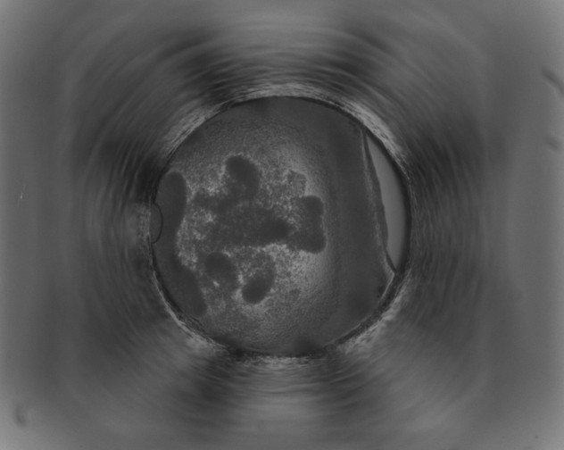 X0000091510849200709070952