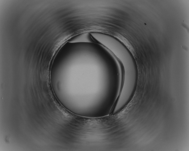 X0000091510850200709070952