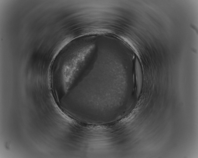 X0000091510851200709070952