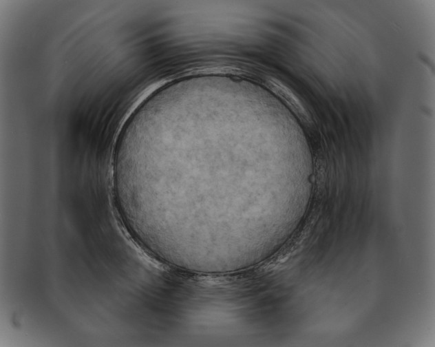 X0000091510852200709070952