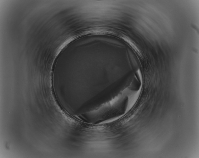 X0000091510853200709070952