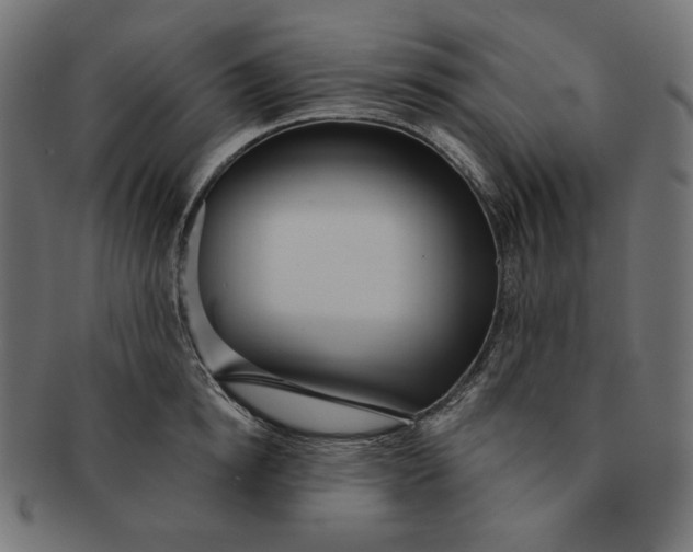 X0000091510854200709070952