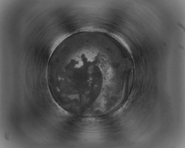 X0000091510855200709070952