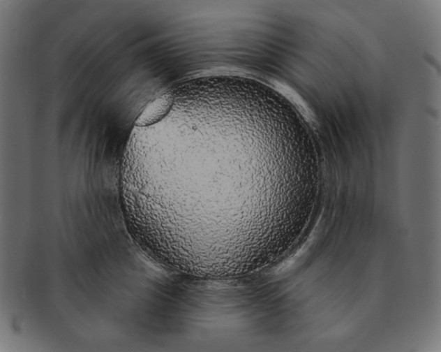 X0000091510857200709070952