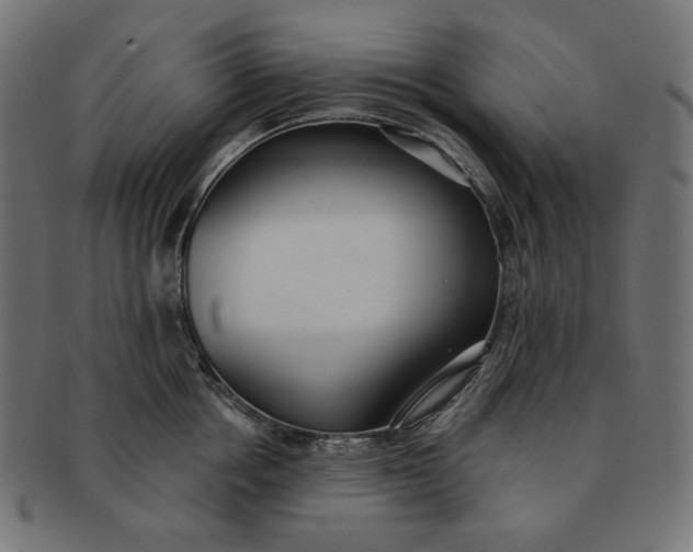 X0000091510858200709070952