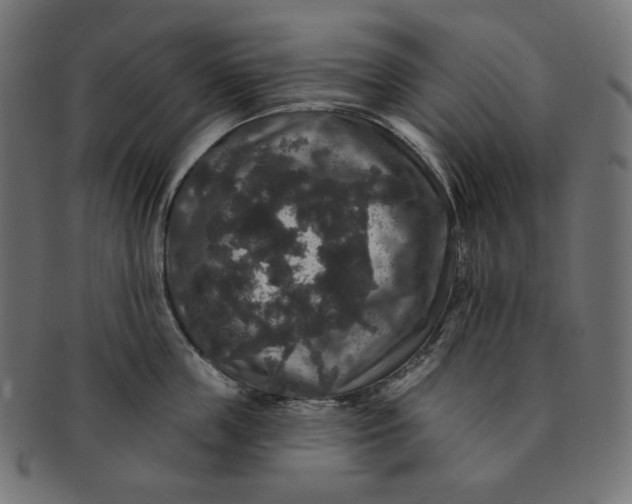 X0000091510859200709070952