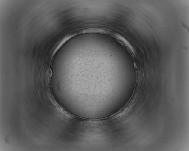 X0000091510860200709070952