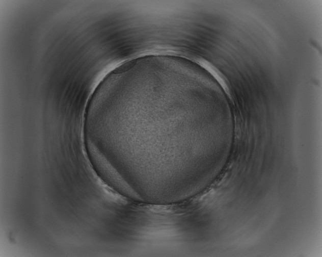 X0000091510861200709070952