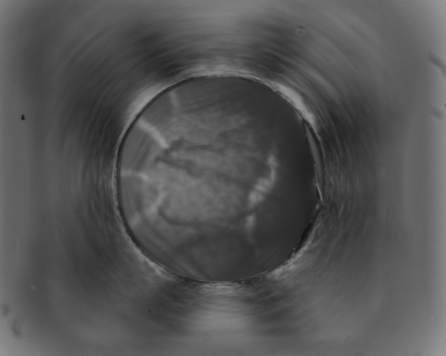 X0000091510863200709070952