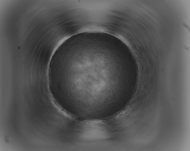 X0000091510864200709070952