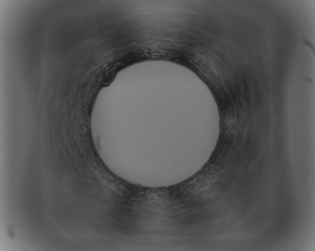 X0000091510865200709070951