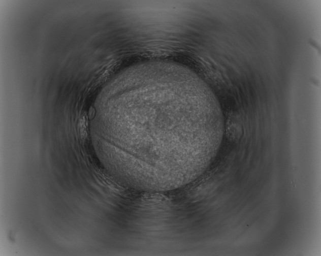 X0000091510866200709070951