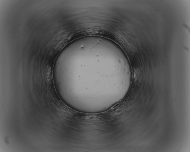 X0000091510867200709070951