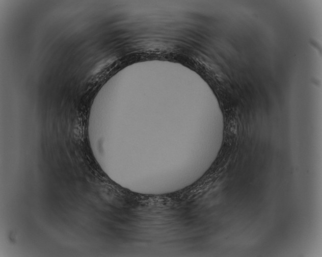 X0000091510869200709070951