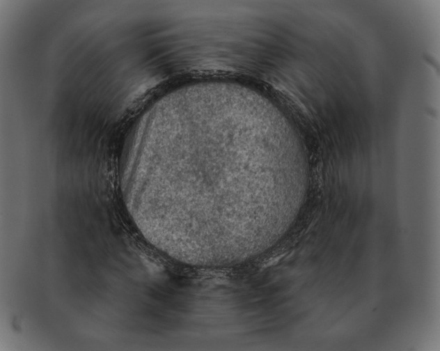 X0000091510870200709070951