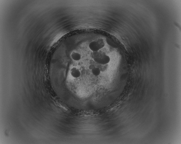 X0000091510871200709070951