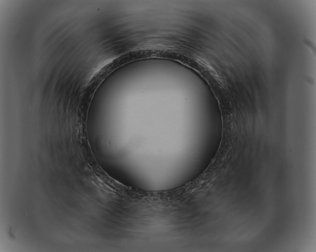 X0000091510872200709070951