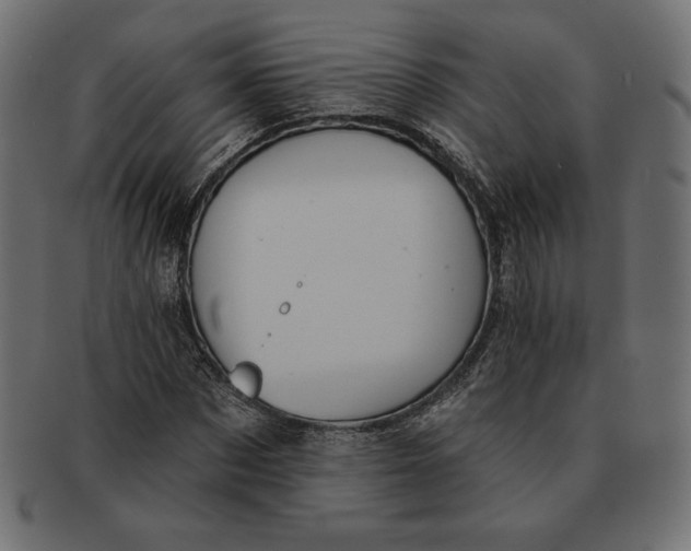 X0000091510873200709070951