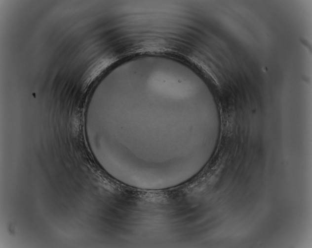 X0000091510874200709070951