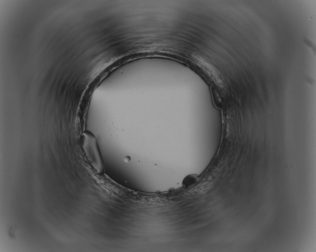 X0000091510876200709070951