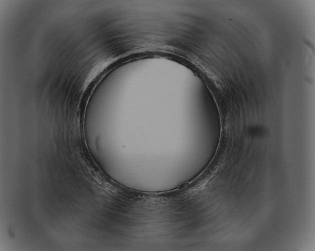 X0000091510877200709070951