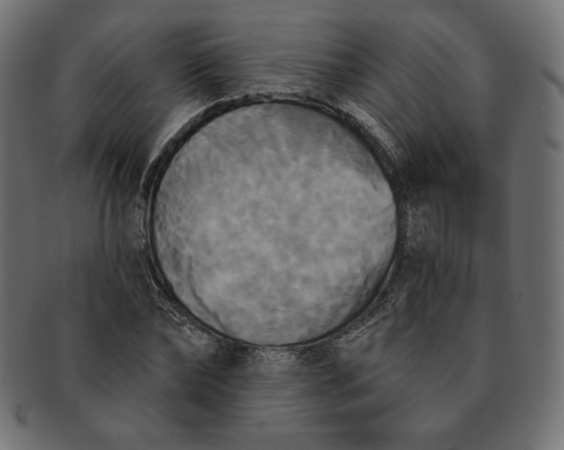 X0000091510878200709070951