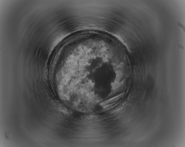 X0000091510879200709070951