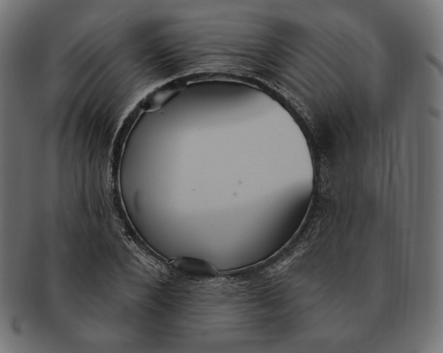 X0000091510880200709070951