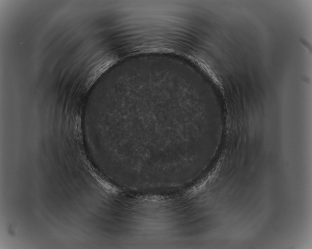 X0000091510881200709070951