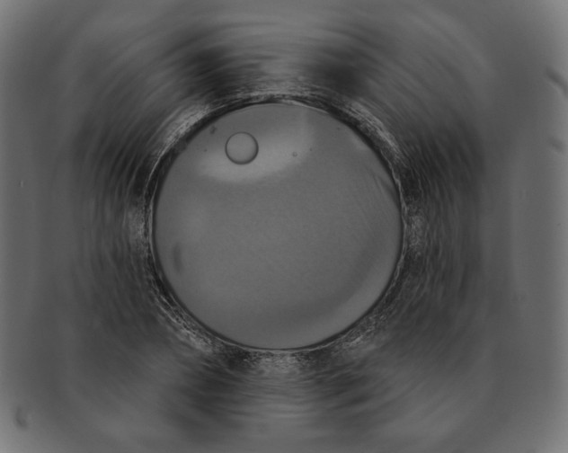 X0000091510882200709070951