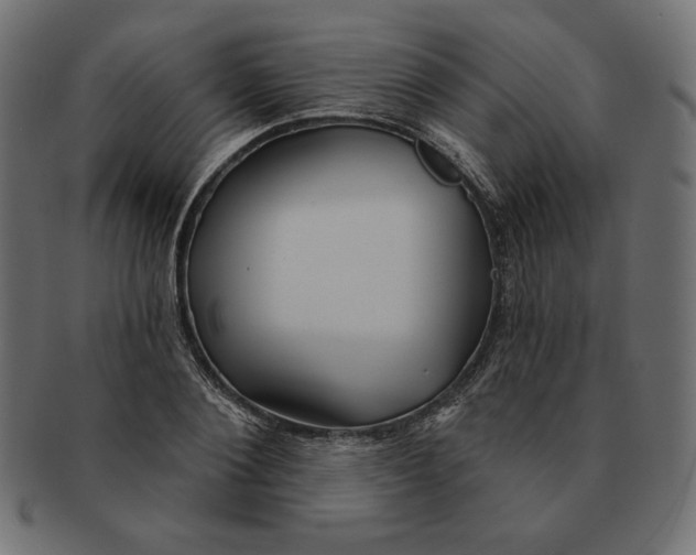 X0000091510884200709070951