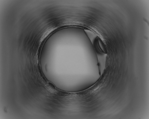 X0000091510885200709070951