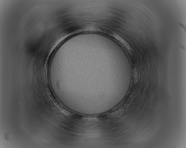 X0000091510886200709070951